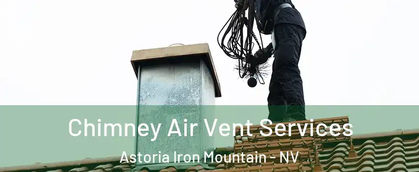 Chimney Air Vent Services Astoria Iron Mountain - NV