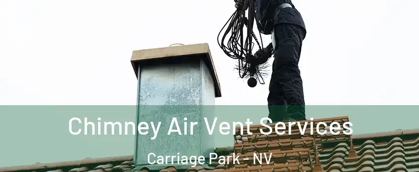 Chimney Air Vent Services Carriage Park - NV