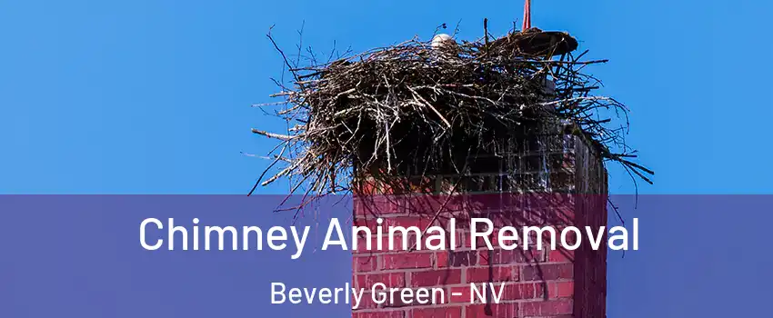 Chimney Animal Removal Beverly Green - NV