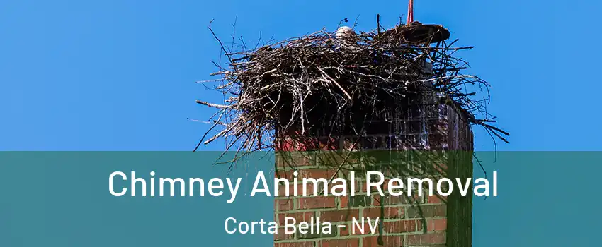 Chimney Animal Removal Corta Bella - NV