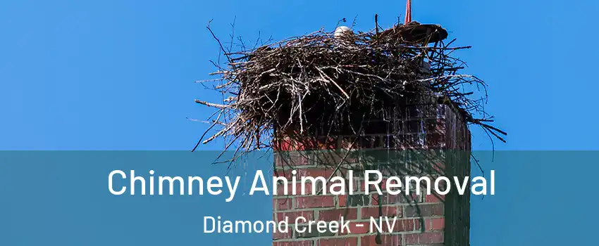 Chimney Animal Removal Diamond Creek - NV