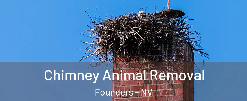 Chimney Animal Removal Founders - NV