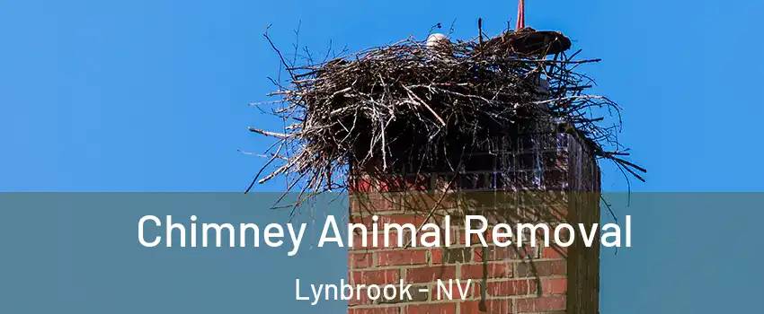 Chimney Animal Removal Lynbrook - NV