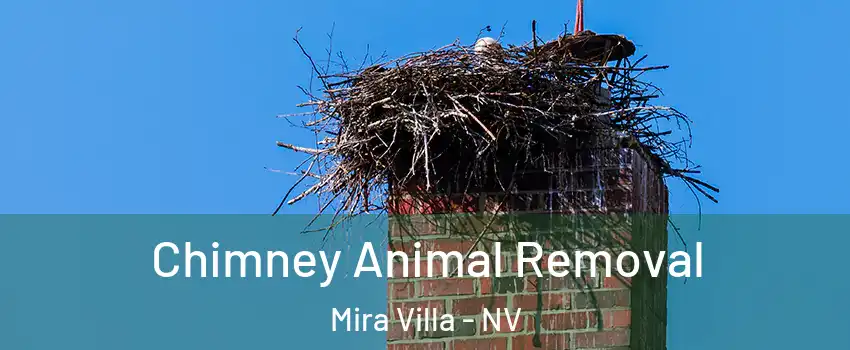 Chimney Animal Removal Mira Villa - NV