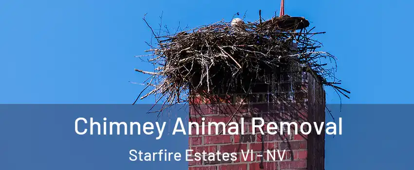 Chimney Animal Removal Starfire Estates VI - NV