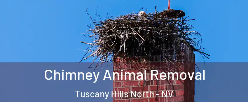 Chimney Animal Removal Tuscany Hills North - NV