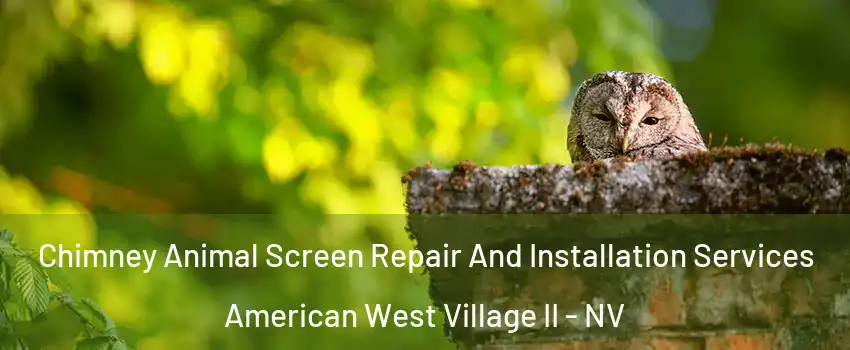 Chimney Animal Screen Repair And Installation Services American West Village II - NV