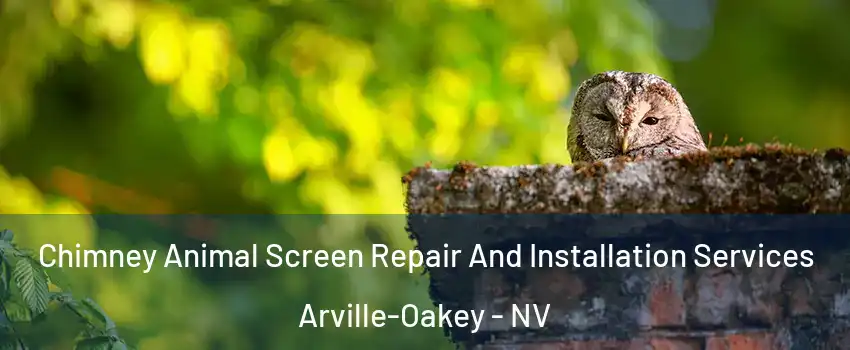 Chimney Animal Screen Repair And Installation Services Arville-Oakey - NV