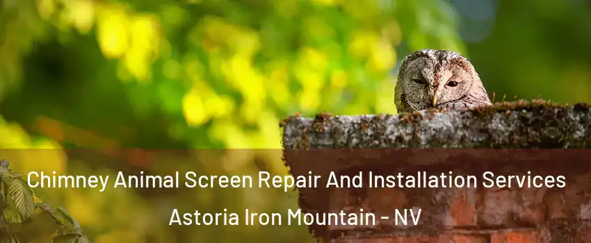 Chimney Animal Screen Repair And Installation Services Astoria Iron Mountain - NV