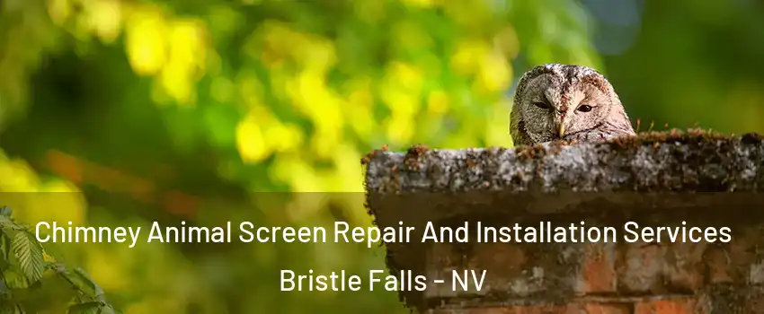 Chimney Animal Screen Repair And Installation Services Bristle Falls - NV