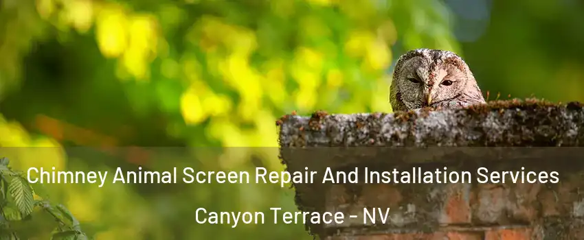 Chimney Animal Screen Repair And Installation Services Canyon Terrace - NV