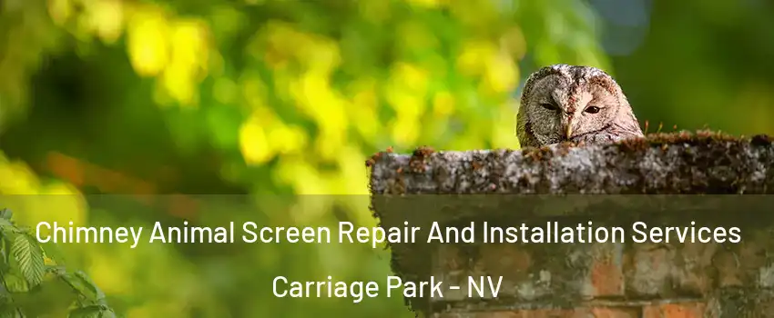 Chimney Animal Screen Repair And Installation Services Carriage Park - NV