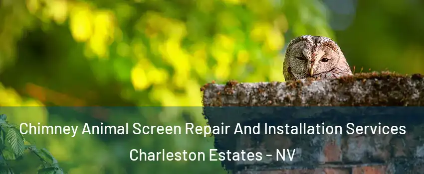 Chimney Animal Screen Repair And Installation Services Charleston Estates - NV