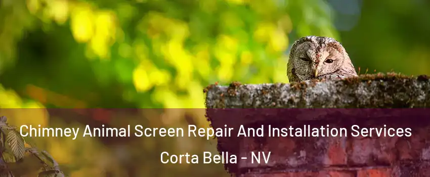 Chimney Animal Screen Repair And Installation Services Corta Bella - NV