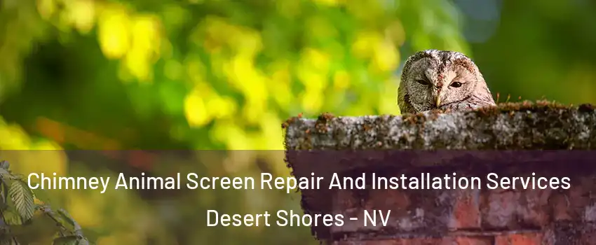 Chimney Animal Screen Repair And Installation Services Desert Shores - NV