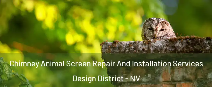 Chimney Animal Screen Repair And Installation Services Design District - NV