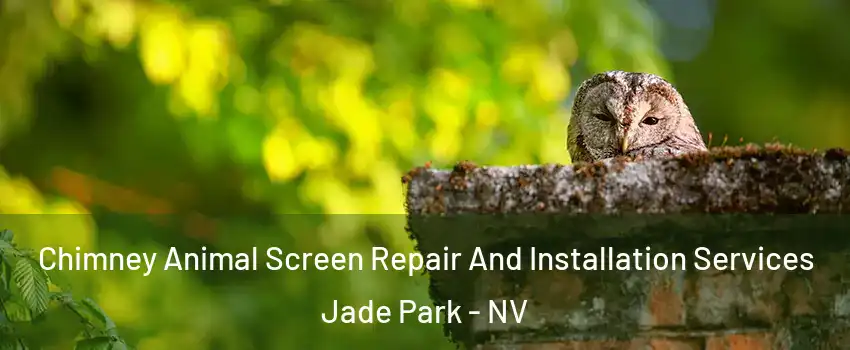 Chimney Animal Screen Repair And Installation Services Jade Park - NV