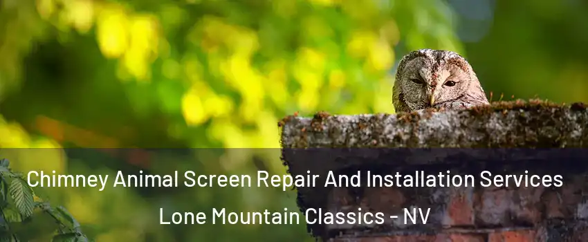 Chimney Animal Screen Repair And Installation Services Lone Mountain Classics - NV