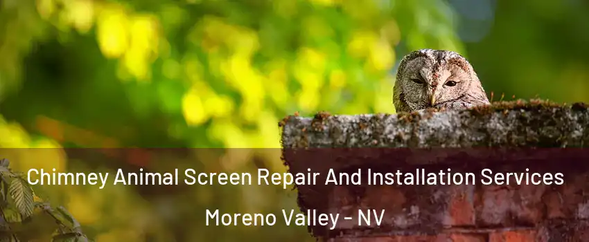 Chimney Animal Screen Repair And Installation Services Moreno Valley - NV