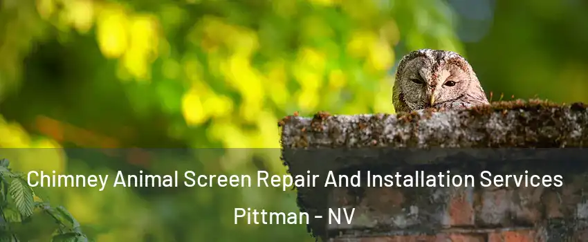 Chimney Animal Screen Repair And Installation Services Pittman - NV