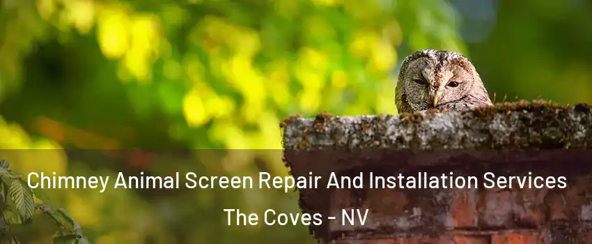 Chimney Animal Screen Repair And Installation Services The Coves - NV