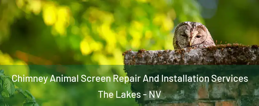 Chimney Animal Screen Repair And Installation Services The Lakes - NV