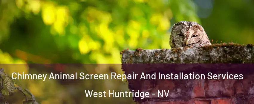 Chimney Animal Screen Repair And Installation Services West Huntridge - NV