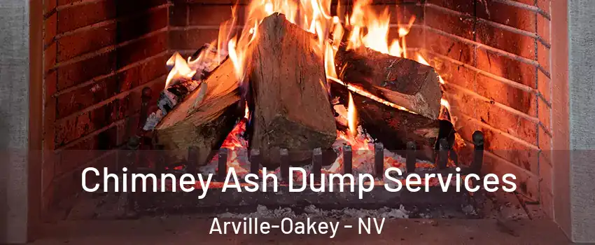 Chimney Ash Dump Services Arville-Oakey - NV