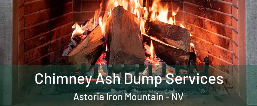 Chimney Ash Dump Services Astoria Iron Mountain - NV