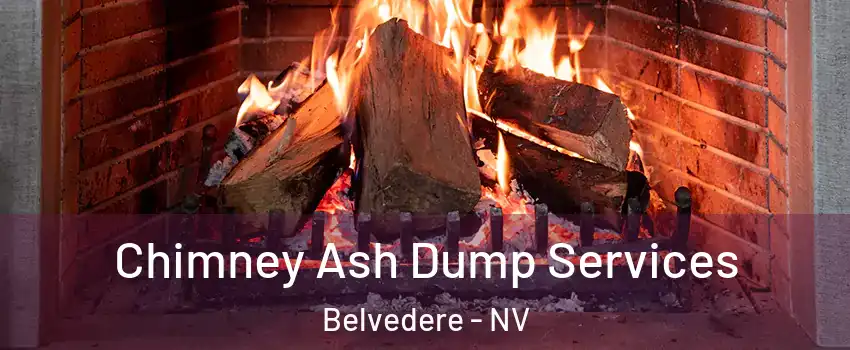 Chimney Ash Dump Services Belvedere - NV