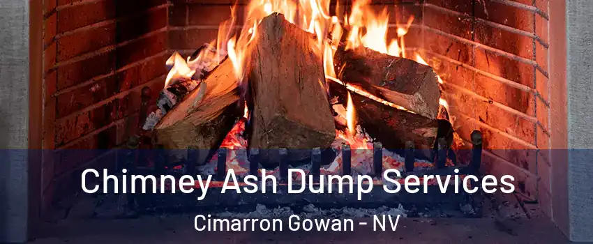 Chimney Ash Dump Services Cimarron Gowan - NV