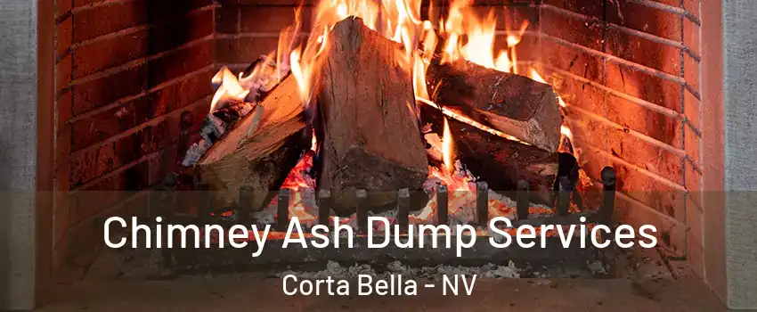 Chimney Ash Dump Services Corta Bella - NV