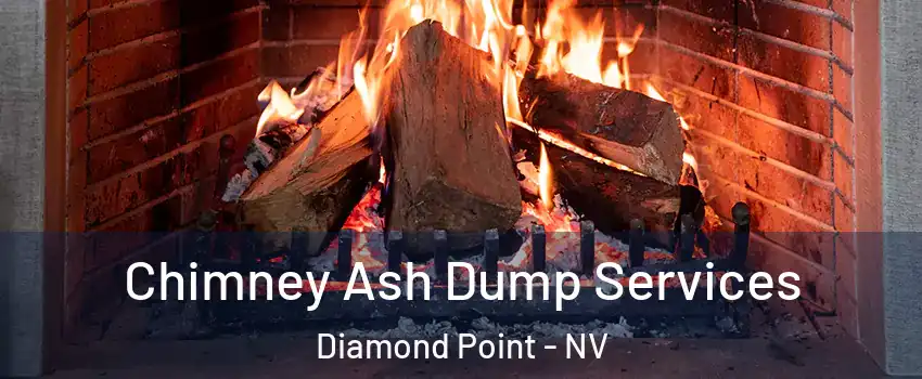 Chimney Ash Dump Services Diamond Point - NV