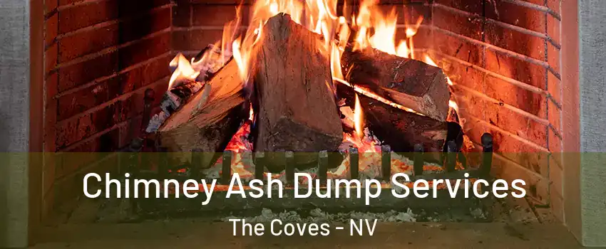 Chimney Ash Dump Services The Coves - NV