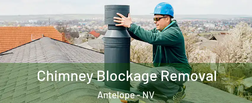 Chimney Blockage Removal Antelope - NV