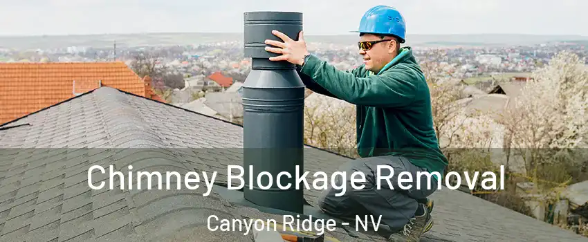 Chimney Blockage Removal Canyon Ridge - NV