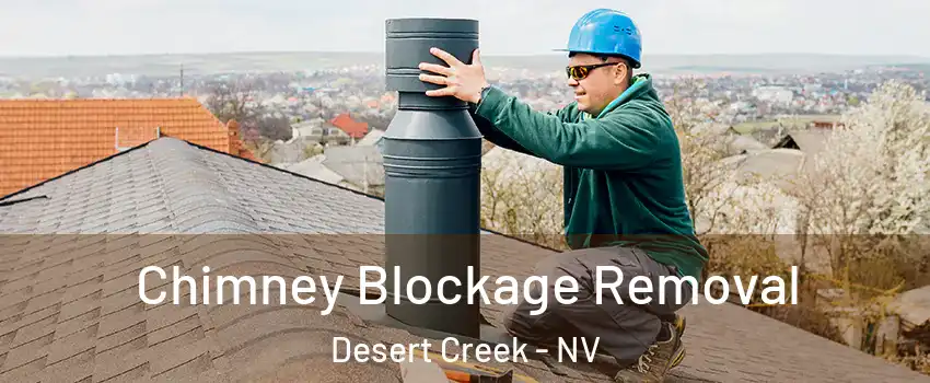 Chimney Blockage Removal Desert Creek - NV