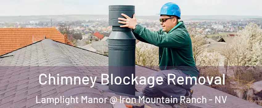 Chimney Blockage Removal Lamplight Manor @ Iron Mountain Ranch - NV