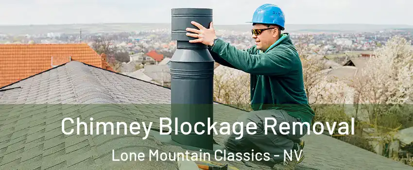 Chimney Blockage Removal Lone Mountain Classics - NV