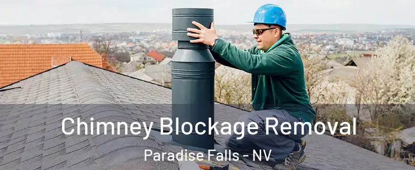 Chimney Blockage Removal Paradise Falls - NV