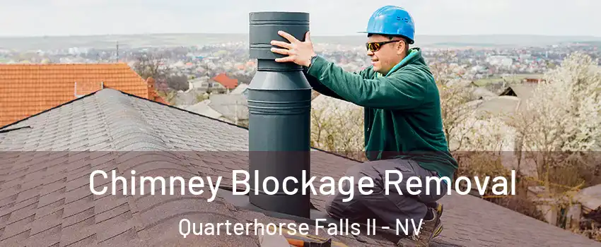 Chimney Blockage Removal Quarterhorse Falls II - NV