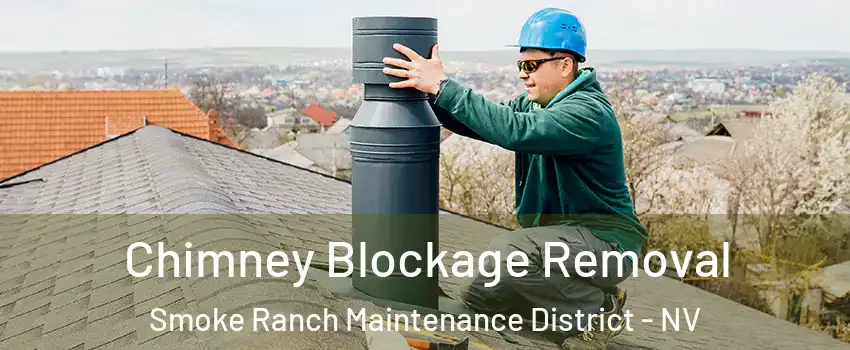 Chimney Blockage Removal Smoke Ranch Maintenance District - NV