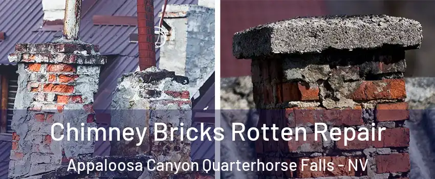 Chimney Bricks Rotten Repair Appaloosa Canyon Quarterhorse Falls - NV