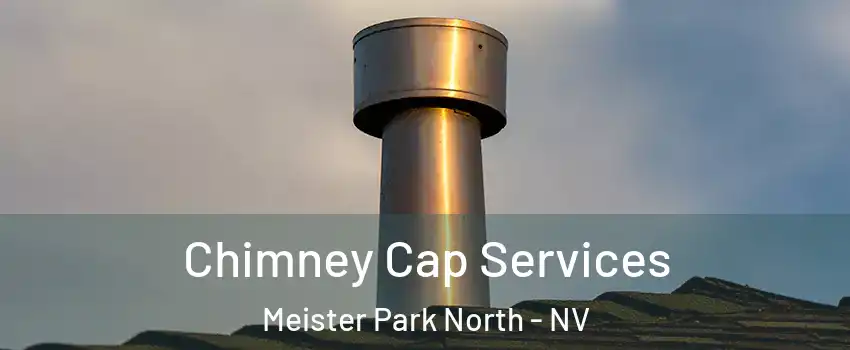 Chimney Cap Services Meister Park North - NV