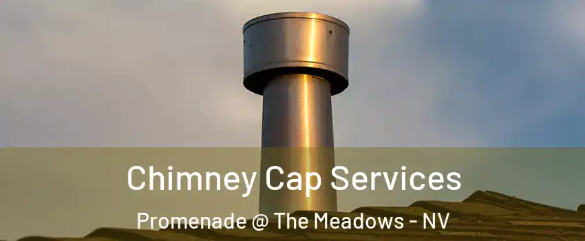 Chimney Cap Services Promenade @ The Meadows - NV