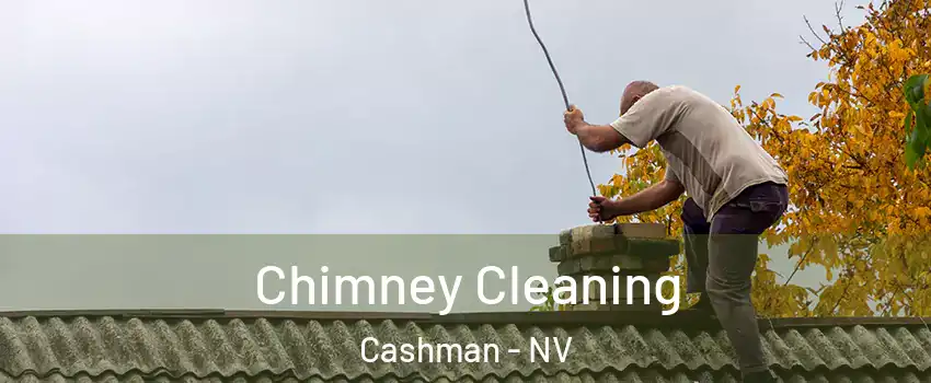 Chimney Cleaning Cashman - NV