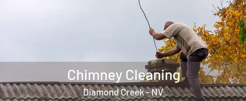 Chimney Cleaning Diamond Creek - NV