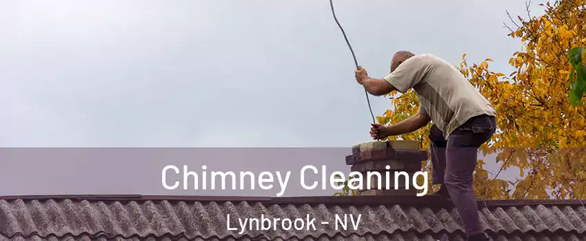 Chimney Cleaning Lynbrook - NV