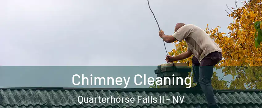 Chimney Cleaning Quarterhorse Falls II - NV