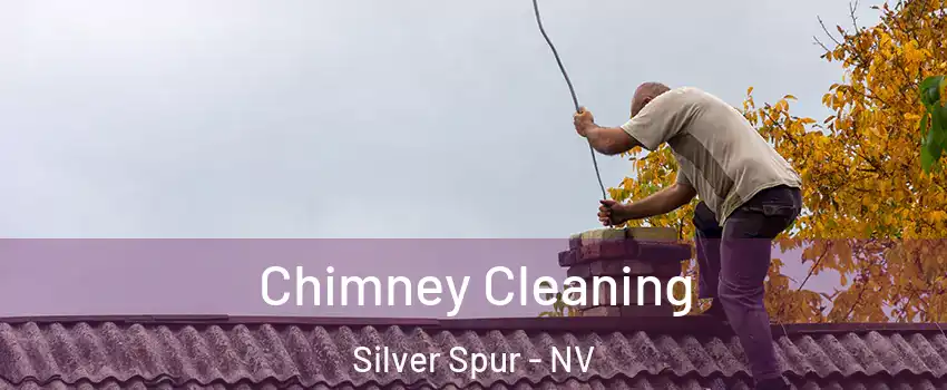 Chimney Cleaning Silver Spur - NV